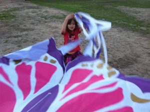 Austin Kite Fest