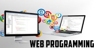 Web Progrmming